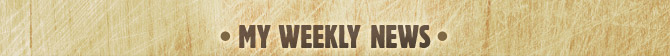 header-news